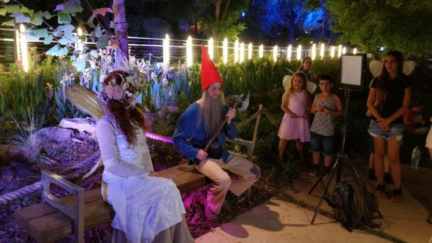 לילה מהאגדות צילום ניר ווילד 33