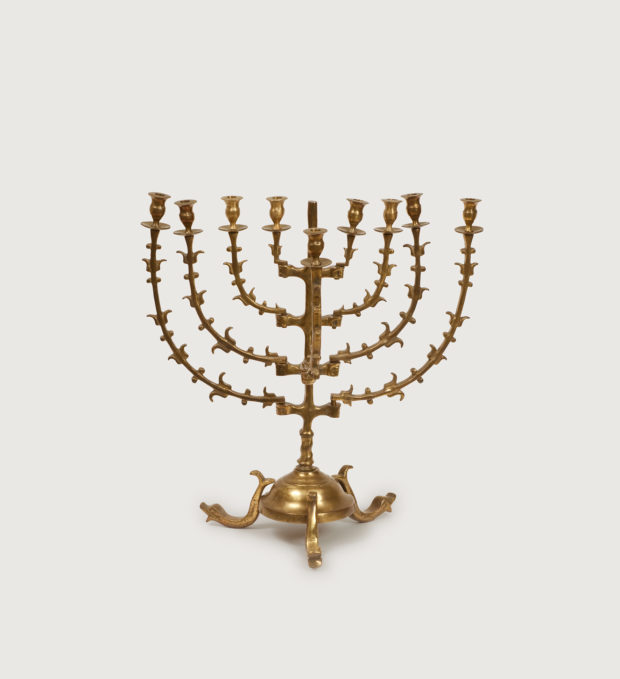 צילום: יח״צ
