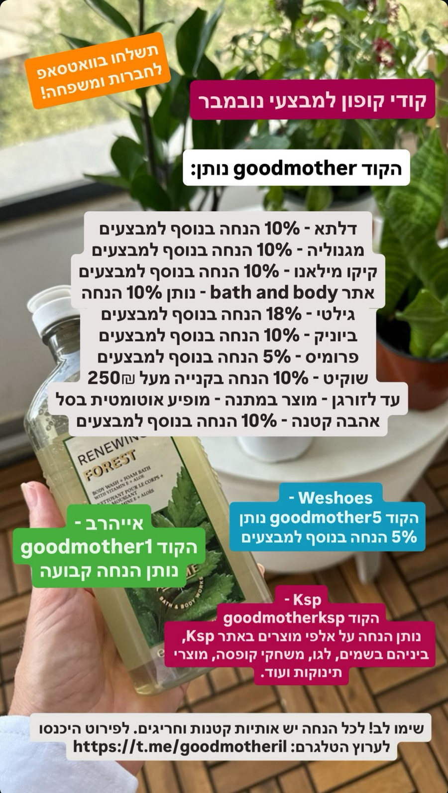 קופונים של בלוגריות